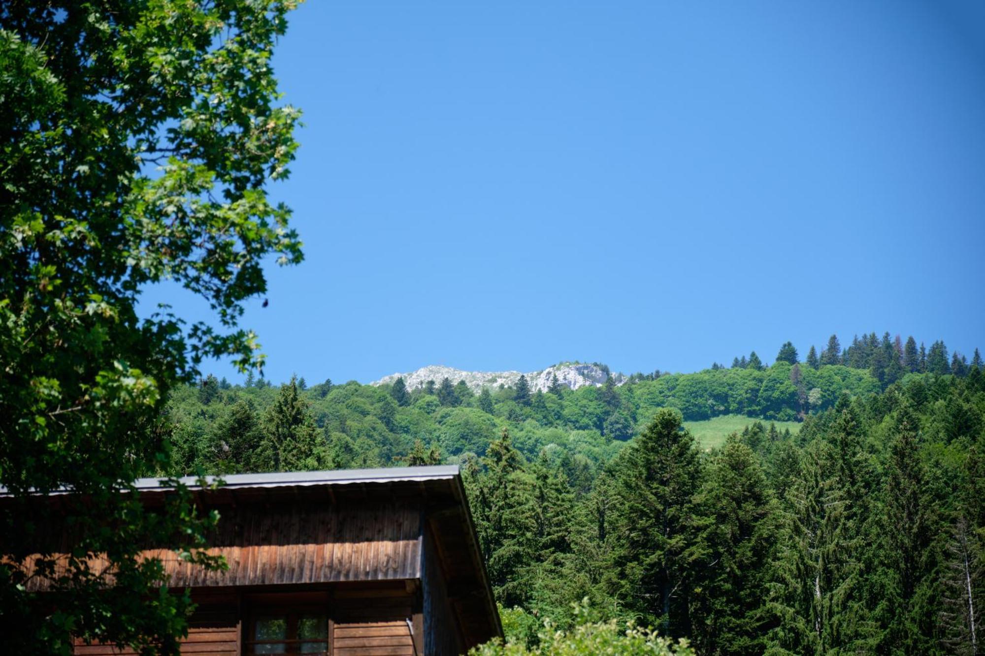 Chalet Le Lys Martagon Saint-Pierre-d'Entremont  Exterior foto
